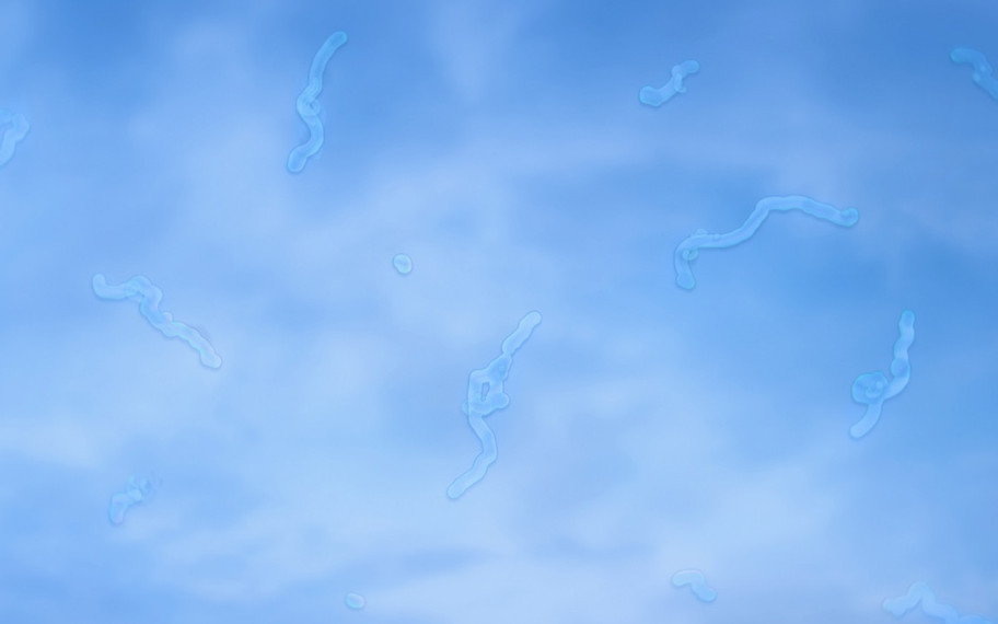 Parlak gökyüzüne bakarken gördüğümüz tuhaf noktacıklar ne anlama geliyor?