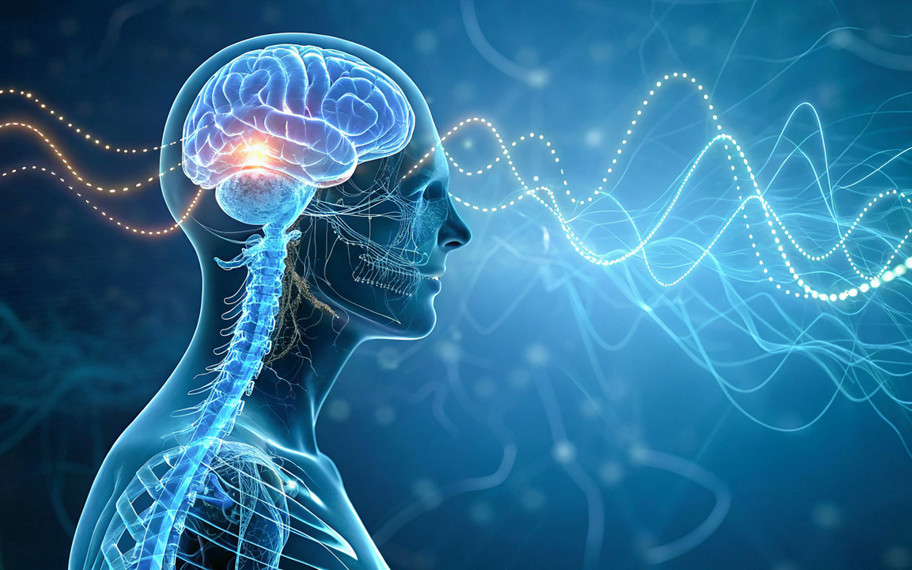 Kalbin "gençlik iksiri" bulundu: Vagus siniriyle gelen hücresel mucize