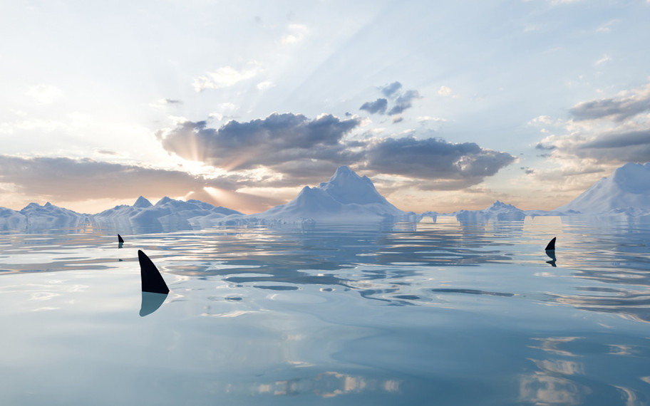 "Asla yaşayamaz" denilen yerde ortaya çıktı: Antarktika’da büyük sürpriz