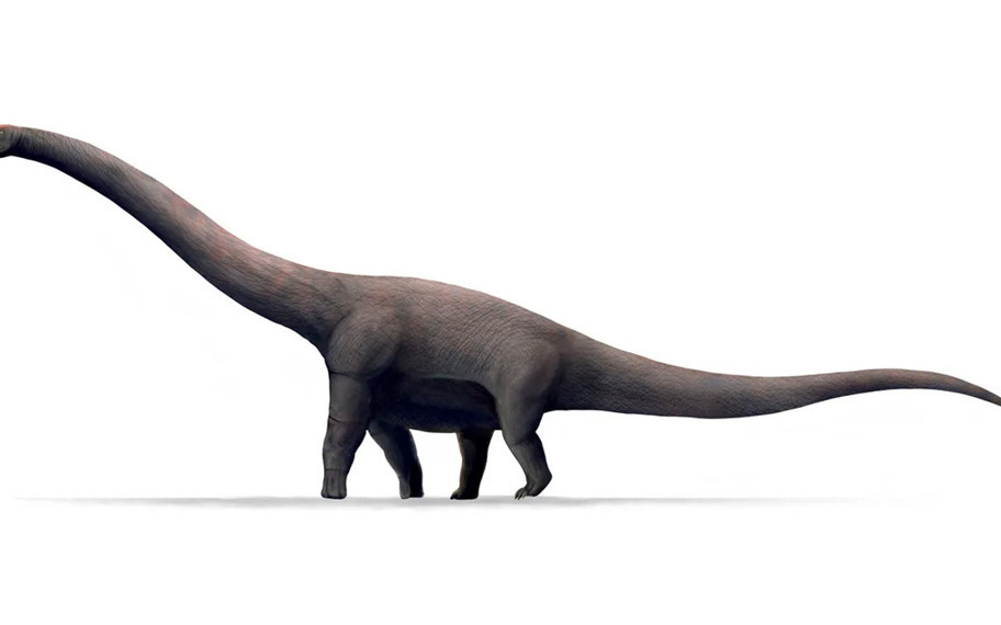45 metrelik dev dinozor ve kaybolan fosillerin hikayesi