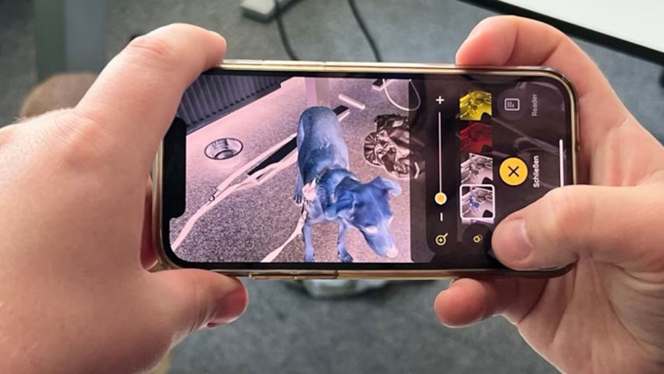 Keneleri cep telefonunuzla nasıl yakalarsınız? En pratik yöntem...