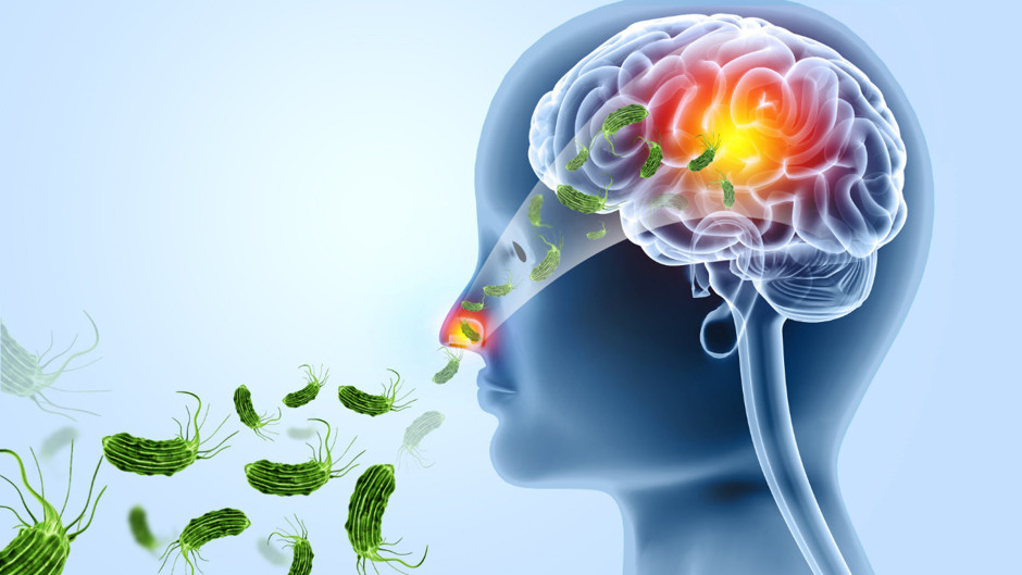 "Beyin yiyen amip", bir tatilin daha trajedi ile sonuçlanmasına yol açtı