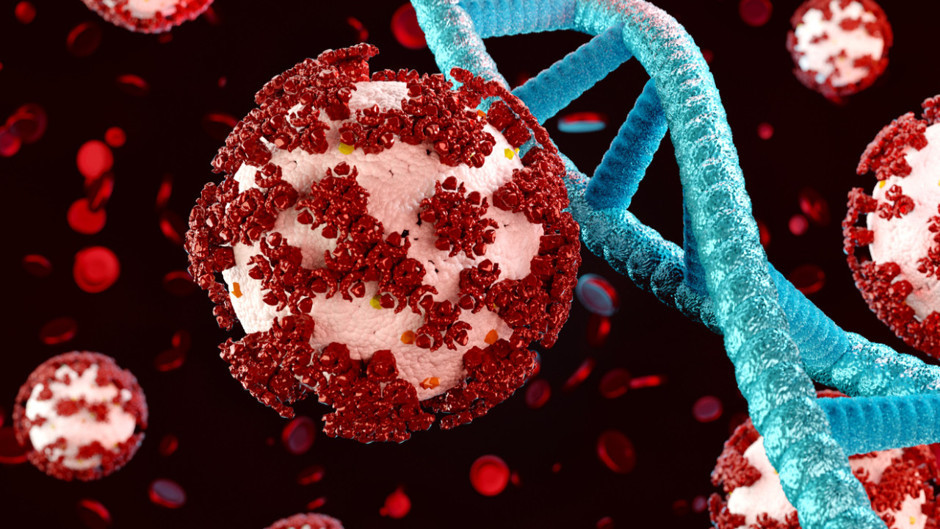 Helene Kasırgası sonrası gizemli bakteri şoku: Gürcistan’da şaşırtan vakalar