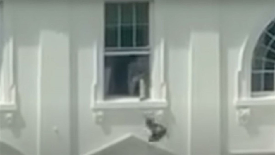 Sosyal medyada viral olan Beyaz Saray görüntüsü gerçek mi yapay zeka mı?