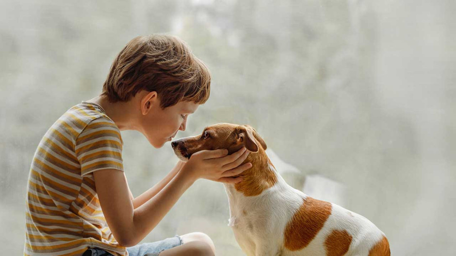 Köpeklerle büyüyen bebeklerde astım riski yarı yarıya düşüyor