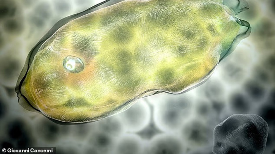 40 bin yıllık sessizlik bozuldu, donmuş mikroplar yeniden canlandı