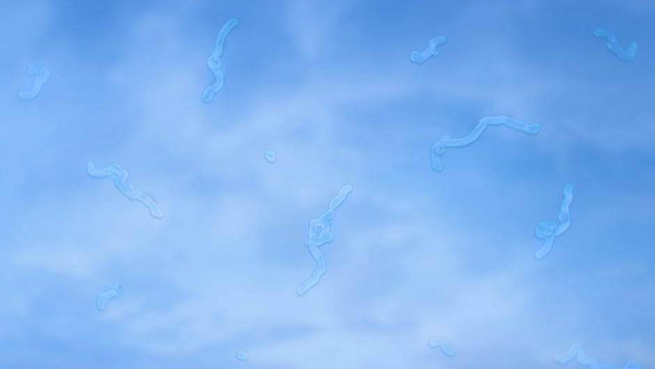 Gözünüzün içinde koşuşan noktalar: Beyaz kan hücrelerinin gizli dansı