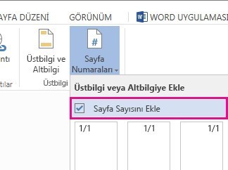 sayfa numarası