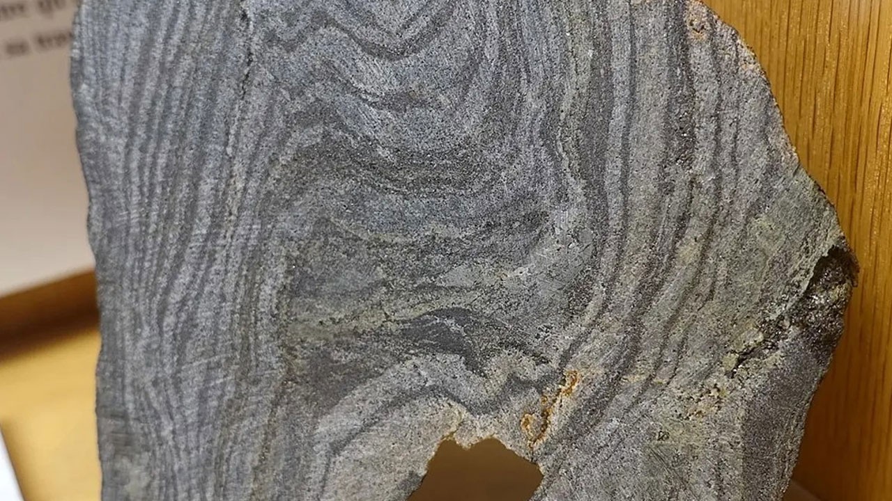 Cep Telefonu
